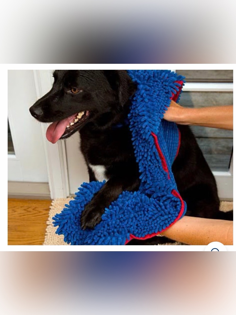 Blue Dog Bath & Dry Microfiber Chenille Towel - SoggyDoggy
